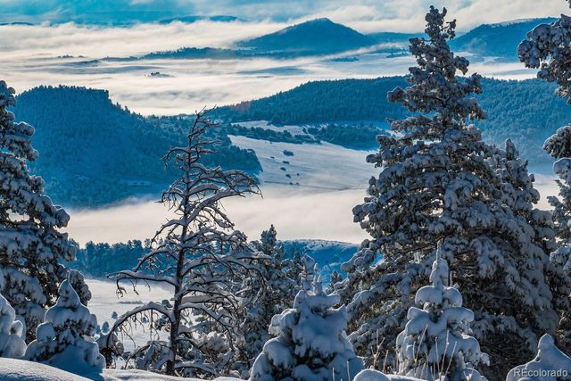 13035 Deer Ridge Way, Larkspur, CO 80118