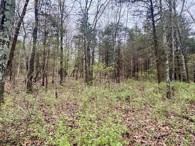 Tbd State Highway U, Mansfield, MO 65704
