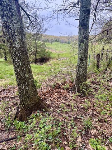 Tbd State Highway U, Mansfield, MO 65704