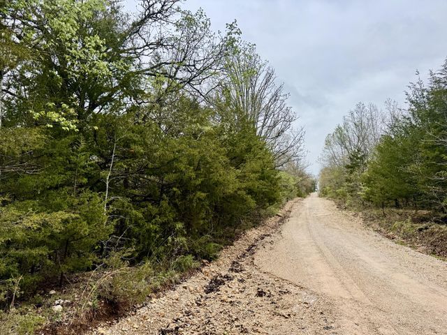 Tbd State Highway U, Mansfield, MO 65704