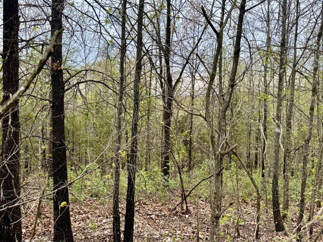 Tbd State Highway U, Mansfield, MO 65704