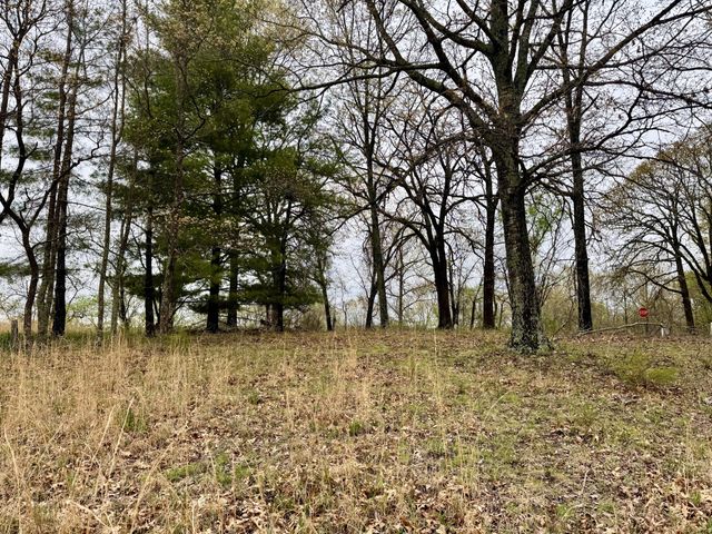 Tbd State Highway U, Mansfield, MO 65704