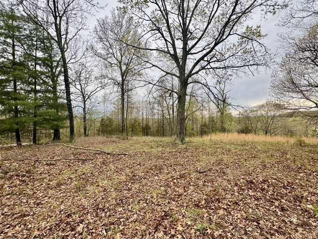 Tbd State Highway U, Mansfield, MO 65704