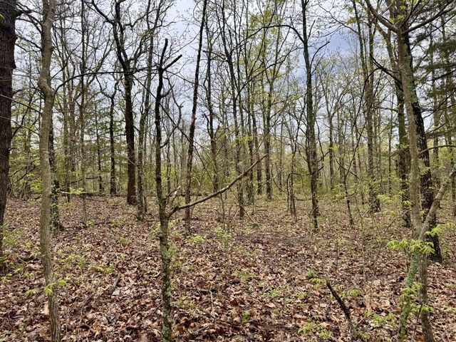 Tbd State Highway U, Mansfield, MO 65704