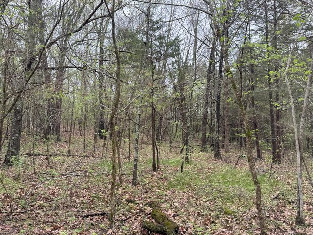 Tbd State Highway U, Mansfield, MO 65704