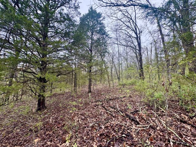 Tbd State Highway U, Mansfield, MO 65704
