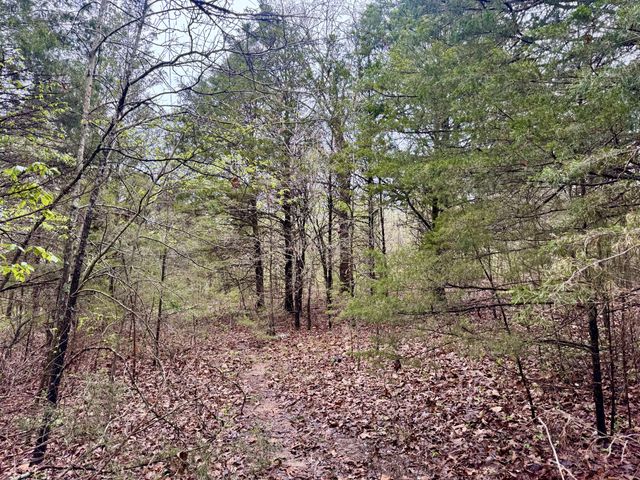 Tbd State Highway U, Mansfield, MO 65704