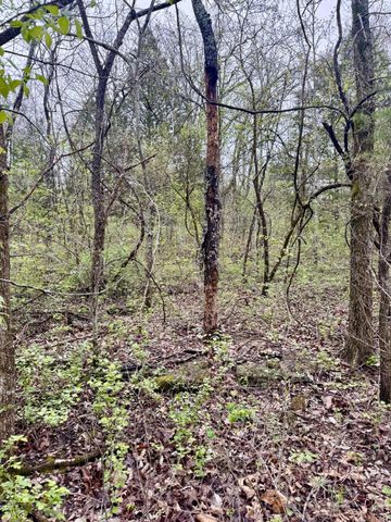 Tbd State Highway U, Mansfield, MO 65704