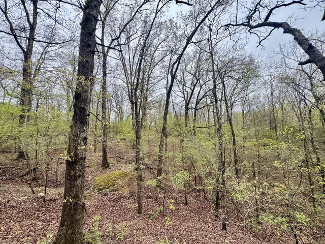 Tbd State Highway U, Mansfield, MO 65704