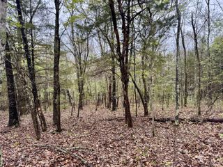 Tbd State Highway U, Mansfield, MO 65704