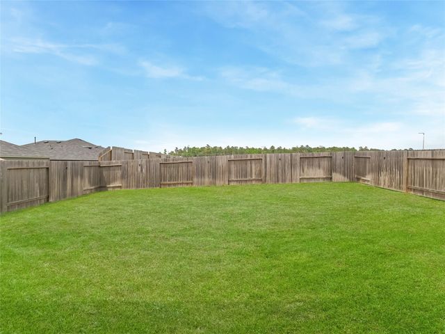 15022 High Rapids Lane, Magnolia, TX 77354
