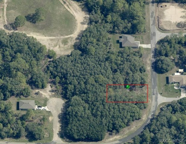 6990 N Lime Drive, Citrus Springs, FL 34433