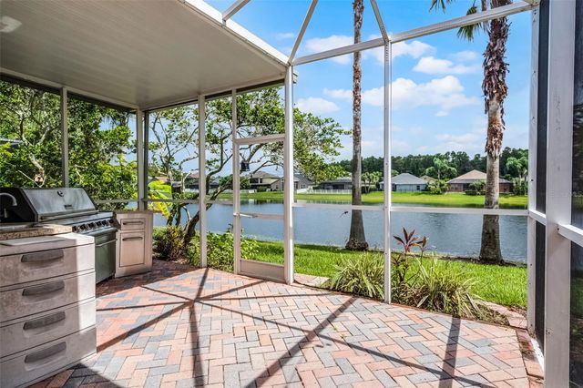 16515 NIKKI LANE, Odessa, FL 33556