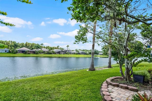 16515 NIKKI LANE, Odessa, FL 33556