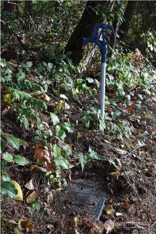 3413 W Tapps Drive E, Lake Tapps, WA 98391