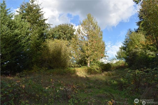 3413 W Tapps Drive E, Lake Tapps, WA 98391