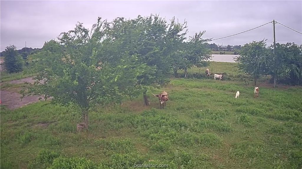 271 I 45 North, Leona, TX 75850 — photo 3