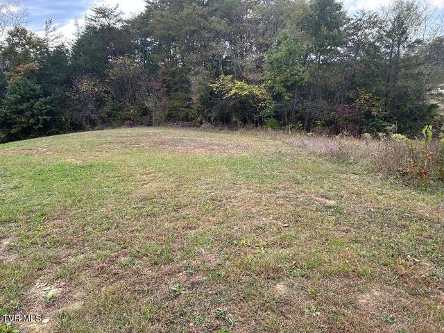 1365 Mohawk Ridge Road, Bulls Gap, TN 37711