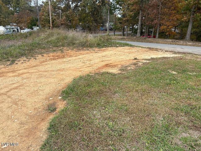 1365 Mohawk Ridge Road, Bulls Gap, TN 37711