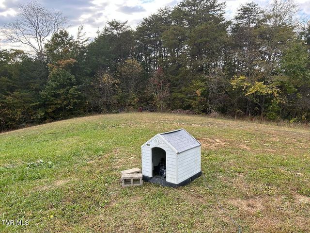 1365 Mohawk Ridge Road, Bulls Gap, TN 37711