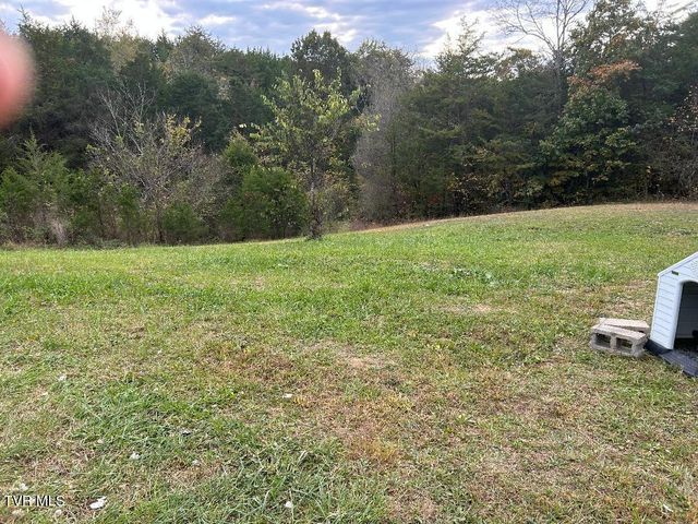 1365 Mohawk Ridge Road, Bulls Gap, TN 37711