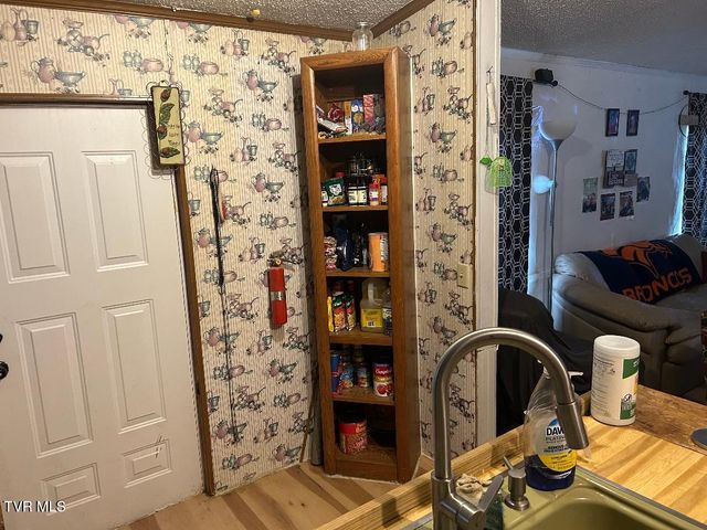 1365 Mohawk Ridge Road, Bulls Gap, TN 37711