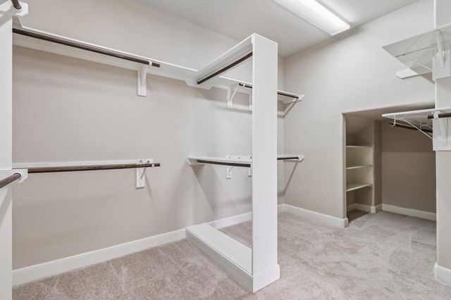 15 Verdin Place, The Woodlands, TX 77389