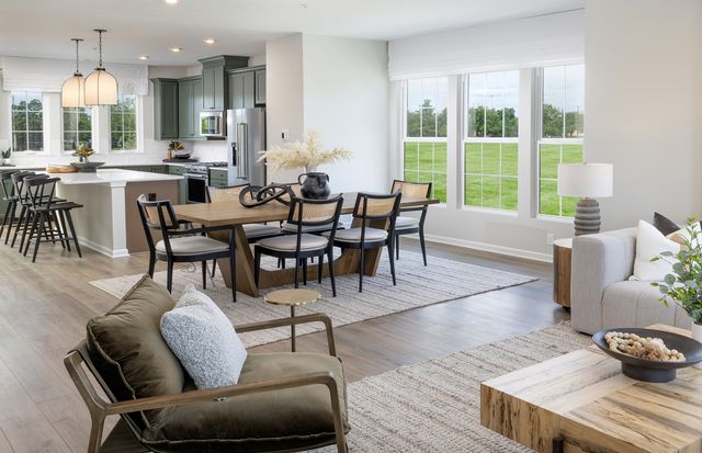 1710 Espacio Drive 3005, Naperville, IL 60563