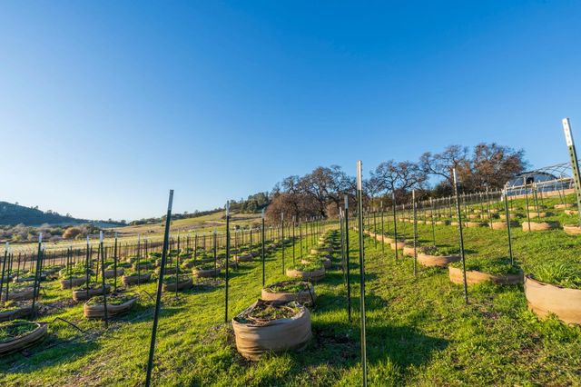 19728 Perimeter Rd, Grass Valley, CA 95949