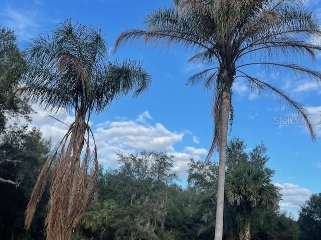 25800 WASHINGTON STREET, Astatula, FL 34705