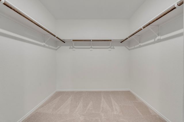 8721 Whistling Duck Drive, Mckinney, TX 75071