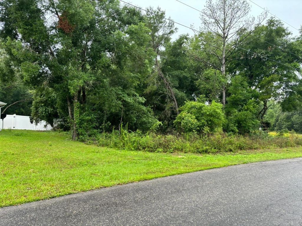 1 GUAVA PASS TRAIL, Ocklawaha, FL 32179