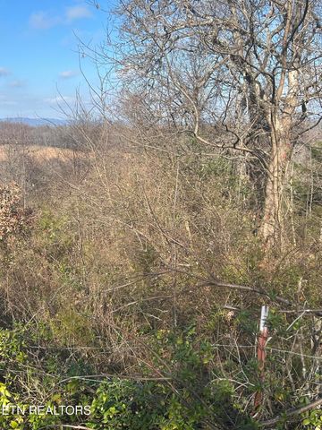 Demory Rd, Lafollette, TN 37766