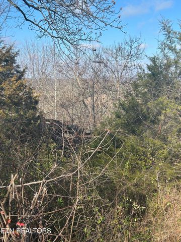 Demory Rd, Lafollette, TN 37766