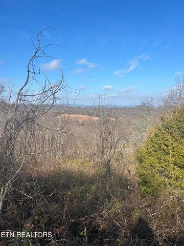 Demory Rd, Lafollette, TN 37766