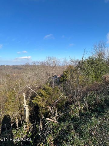 Demory Rd, Lafollette, TN 37766