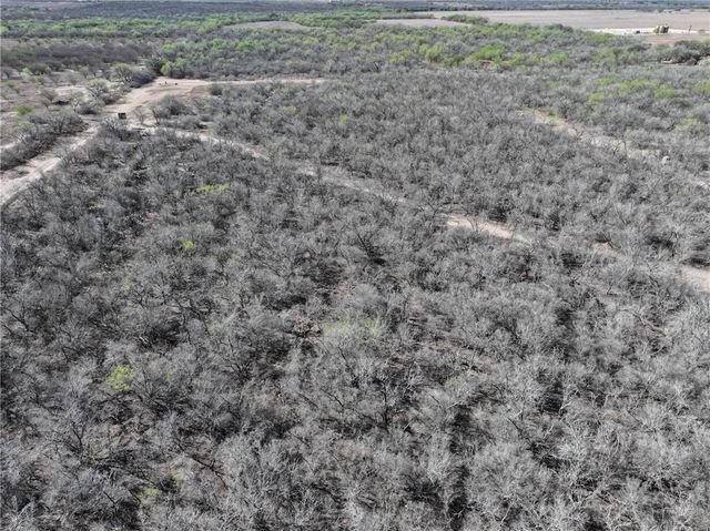 6617 FM 882, Pawnee, TX 78119