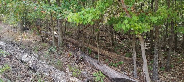 16-11641-000 Bell Lane, Bella Vista, AR 72714
