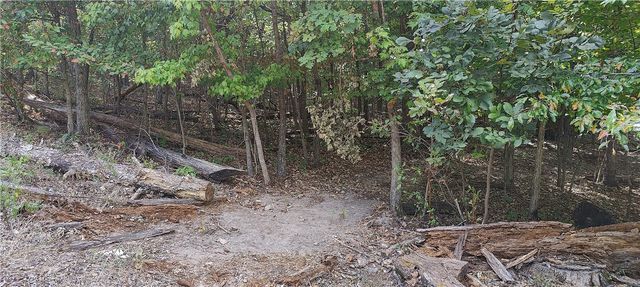 16-11641-000 Bell Lane, Bella Vista, AR 72714