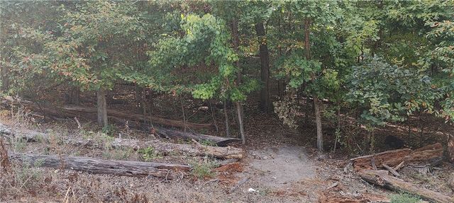 16-11641-000 Bell Lane, Bella Vista, AR 72714