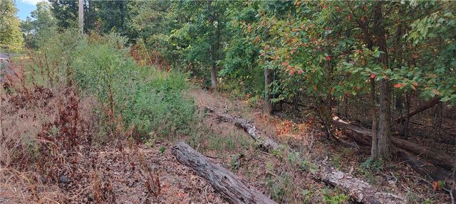 16-11641-000 Bell Lane, Bella Vista, AR 72714