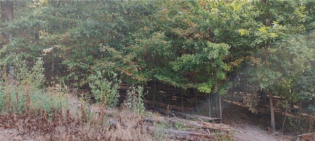 16-11641-000 Bell Lane, Bella Vista, AR 72714