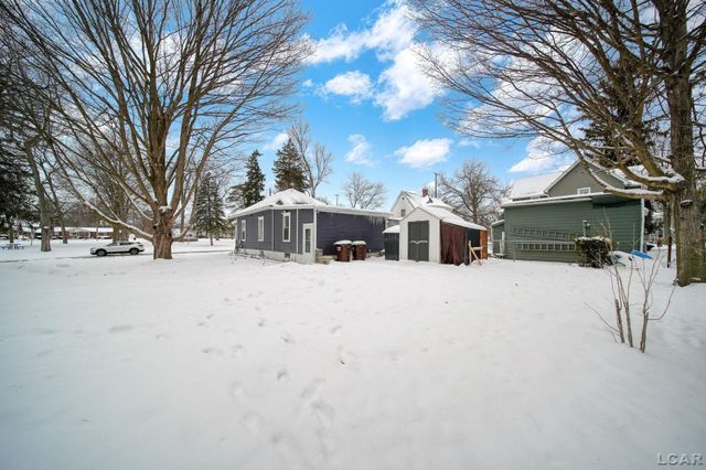 313 Rice Street, Adrian, MI 49221