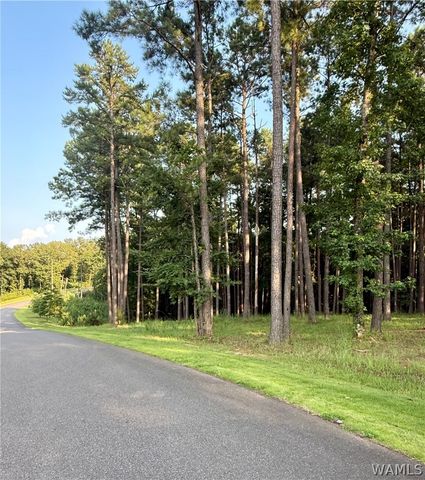 14220 Watercolor Drive, Northport, AL 35475