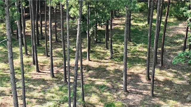 14220 Watercolor Drive, Northport, AL 35475