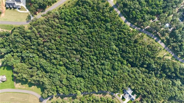 14220 Watercolor Drive, Northport, AL 35475
