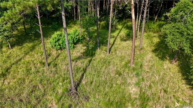 14220 Watercolor Drive, Northport, AL 35475
