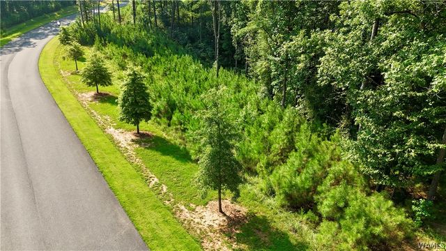 14220 Watercolor Drive, Northport, AL 35475