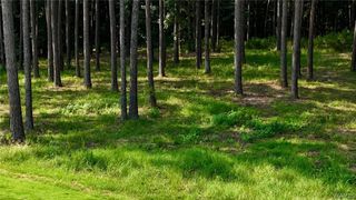14220 Watercolor Drive, Northport, AL 35475
