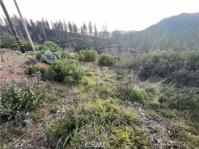 16749 Starview Loop Road, Cobb, CA 95426